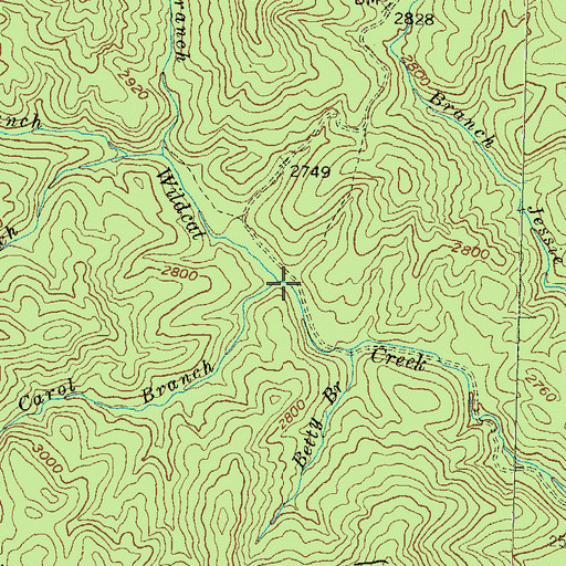 Topographic Map of Carol Branch, GA