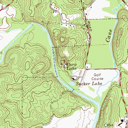 Topographic Map of Carp Lake, GA
