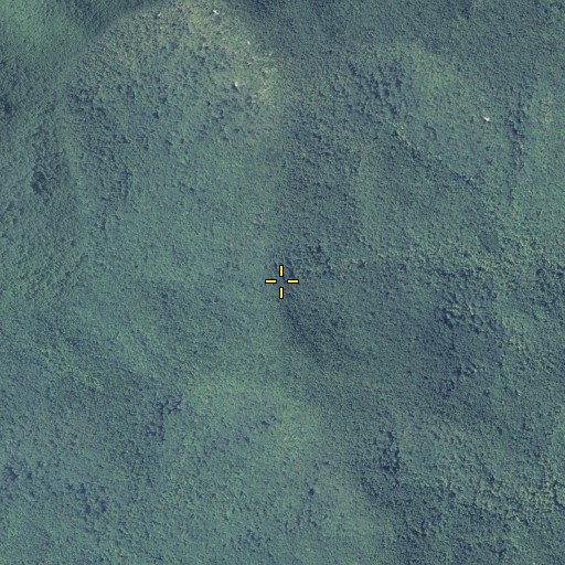 Aerial/Satellite Image of Carr Gap, GA