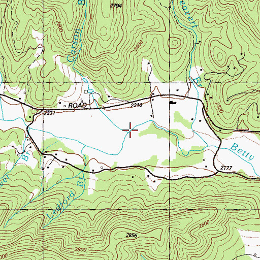 Topographic Map of Carson Branch, GA
