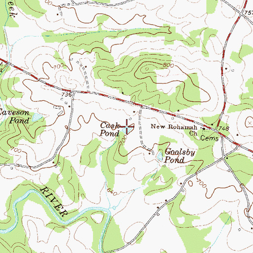 Topographic Map of Cash Pond, GA