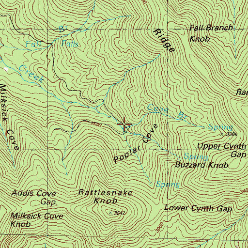 Topographic Map of Cave Branch, GA