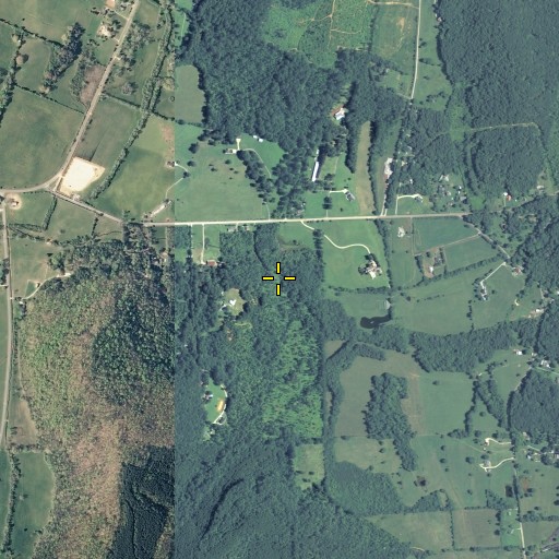 Aerial/Satellite Image of Cave Spring, GA