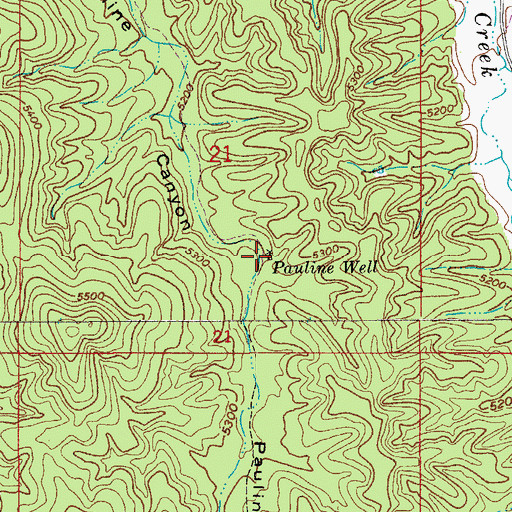 Topographic Map of Pauline Well, AZ