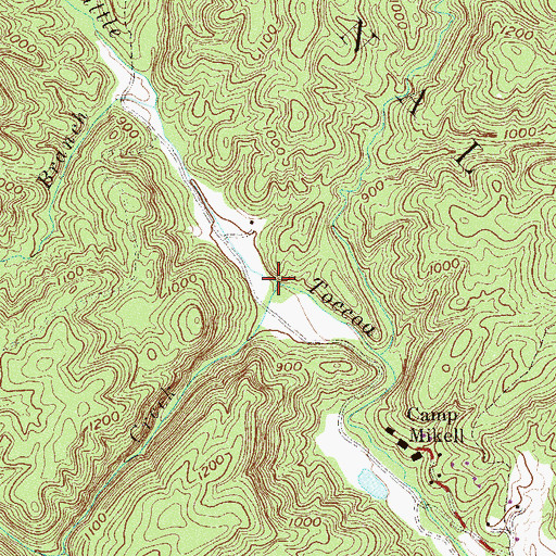 Topographic Map of Cedar Creek, GA
