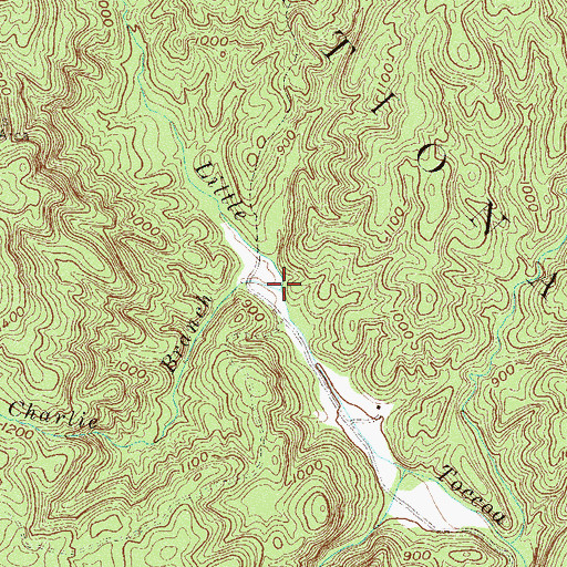 Topographic Map of Charlie Branch, GA