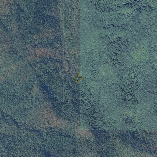 Aerial/Satellite Image of Cherry Cove, GA