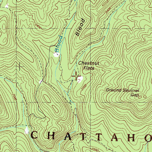 Topographic Map of Chestnut Flats, GA