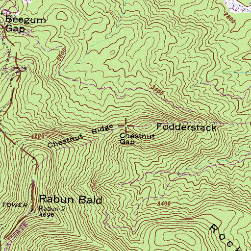 Topographic Map of Chestnut Gap, GA