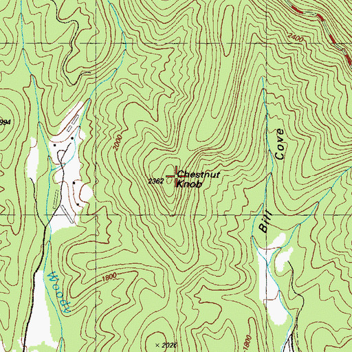 Topographic Map of Chestnut Knob, GA