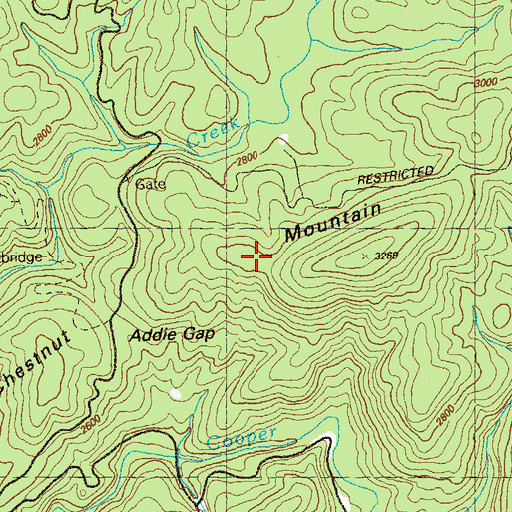 Topographic Map of Chestnut Mountain, GA