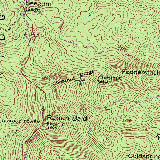 Topographic Map of Chestnut Ridge, GA