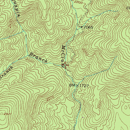 Topographic Map of Chinquapin Branch, GA