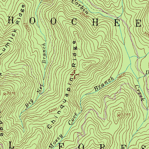 Topographic Map of Chinquapin Ridge, GA