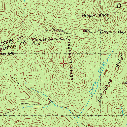 Topographic Map of Chinquapin Ridge, GA