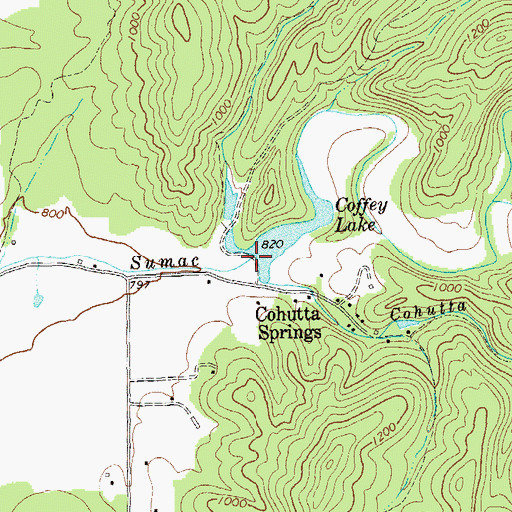 Topographic Map of Coffey Lake, GA