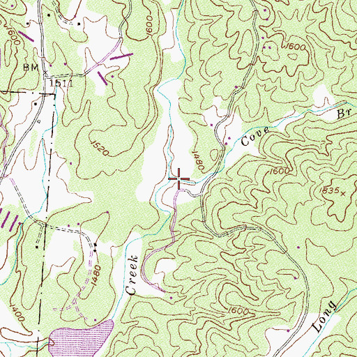 Topographic Map of Cove Branch, GA
