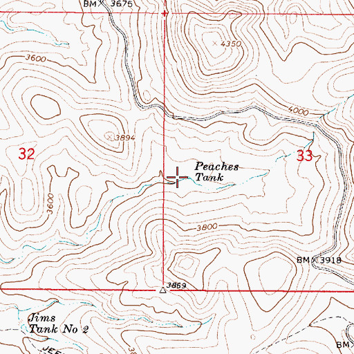 Topographic Map of Peaches Tank, AZ