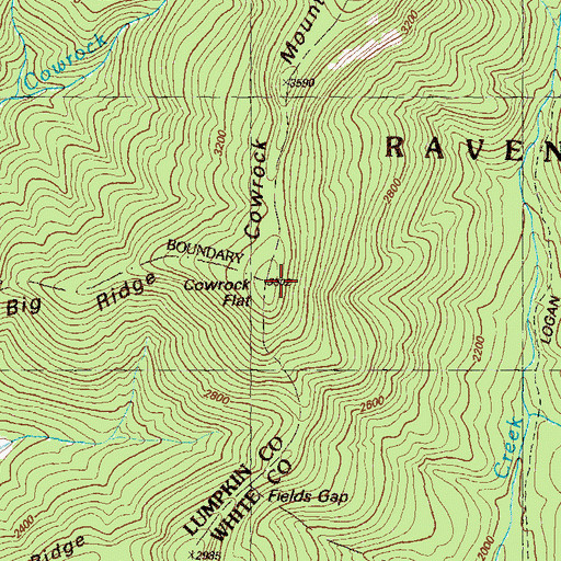 Topographic Map of Cowrock Flat, GA