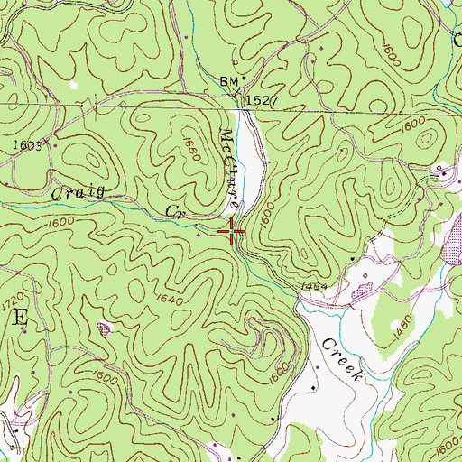 Topographic Map of Craig Creek, GA