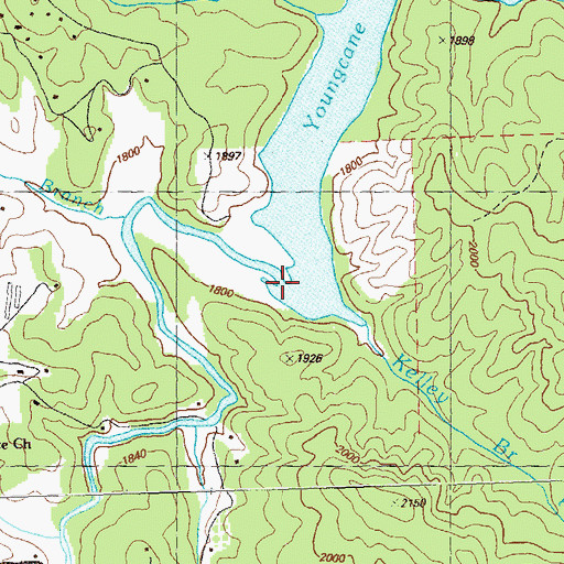 Topographic Map of Cunningham Branch, GA