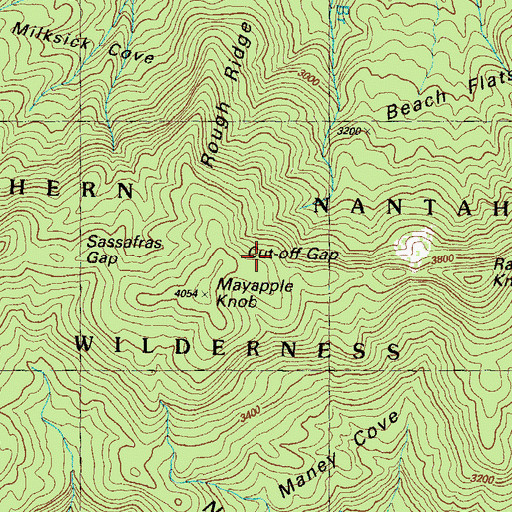 Topographic Map of Cut-off Gap, GA