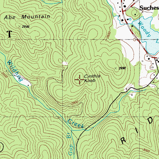 Topographic Map of Cynthia Knob, GA