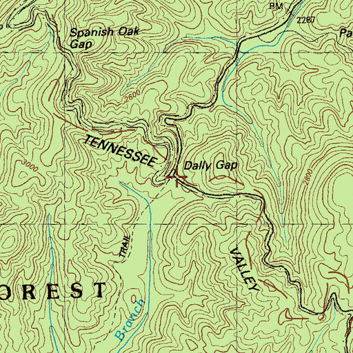 Topographic Map of Dally Gap, GA