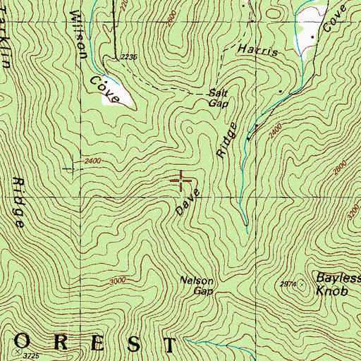 Topographic Map of Dave Ridge, GA