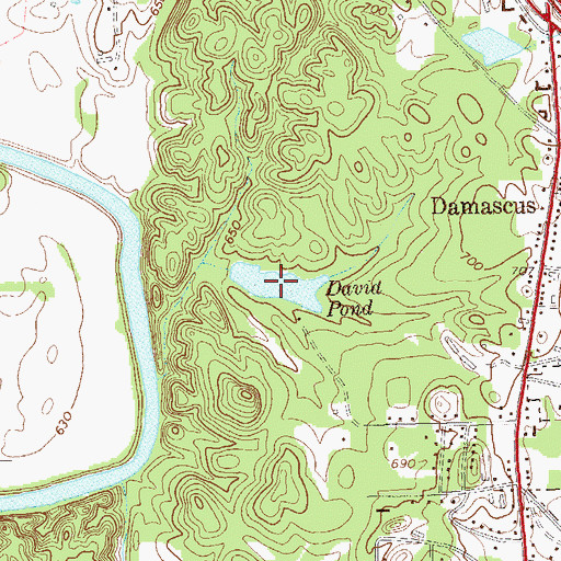 Topographic Map of David Pond, GA