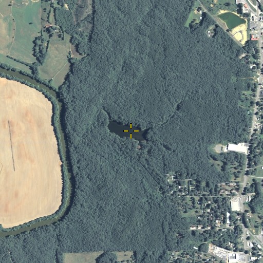 Aerial/Satellite Image of David Pond, GA