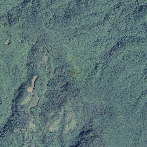 Aerial/Satellite Image of Deep Gap, GA