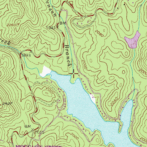 Topographic Map of Dickenson Branch, GA