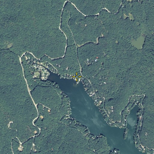 Aerial/Satellite Image of Dickenson Branch, GA
