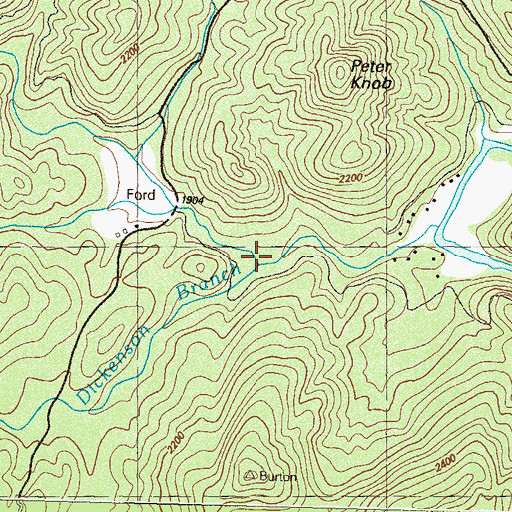 Topographic Map of Dickenson Branch, GA