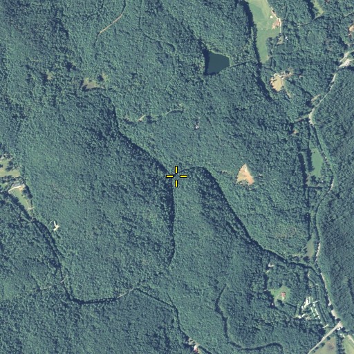 Aerial/Satellite Image of Dicks Creek, GA