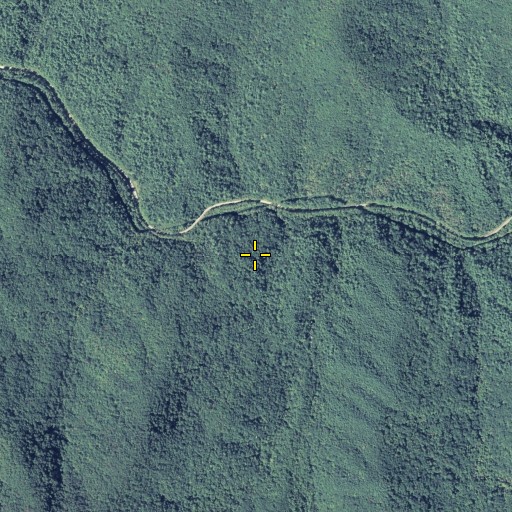Aerial/Satellite Image of Dills Branch, GA