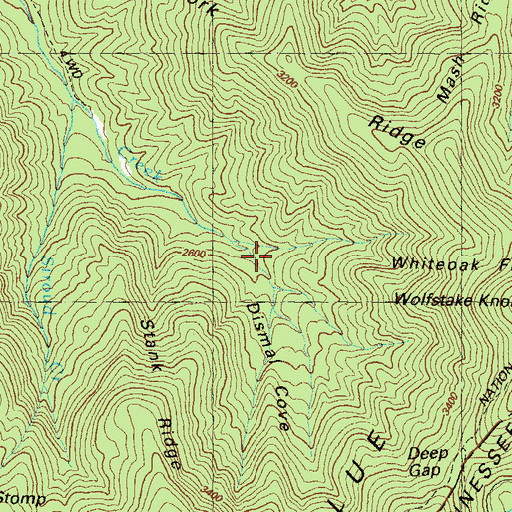 Topographic Map of Dismal Cove, GA
