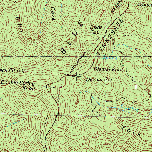 Topographic Map of Dismal Gap, GA