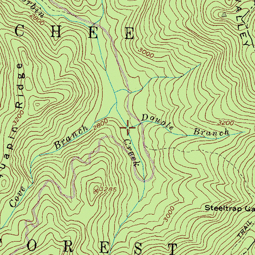 Topographic Map of Double Branch, GA