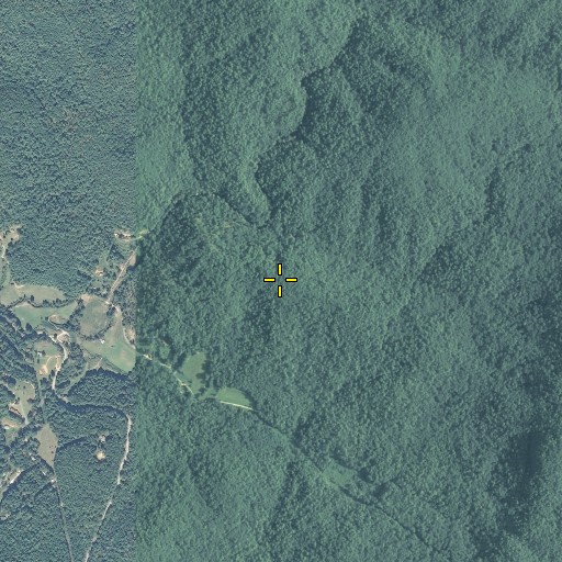 Aerial/Satellite Image of Double Bridge Branch, GA
