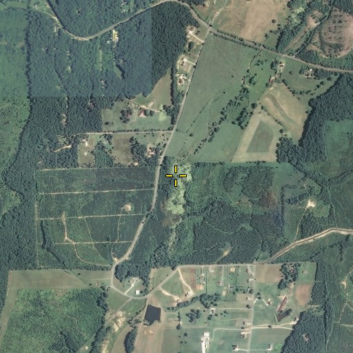 Aerial/Satellite Image of Dry Branch, GA