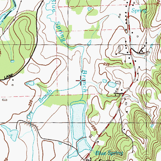 Topographic Map of Dry Branch, GA