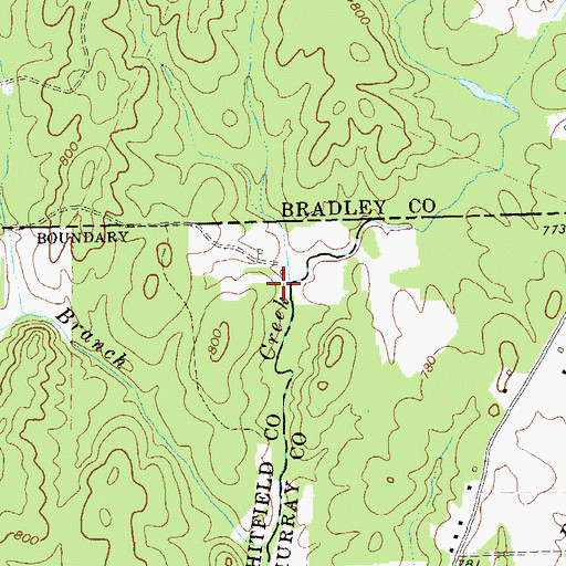 Topographic Map of Dry Prong, GA