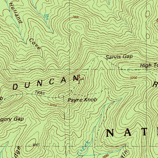 Topographic Map of Duncan Ridge, GA