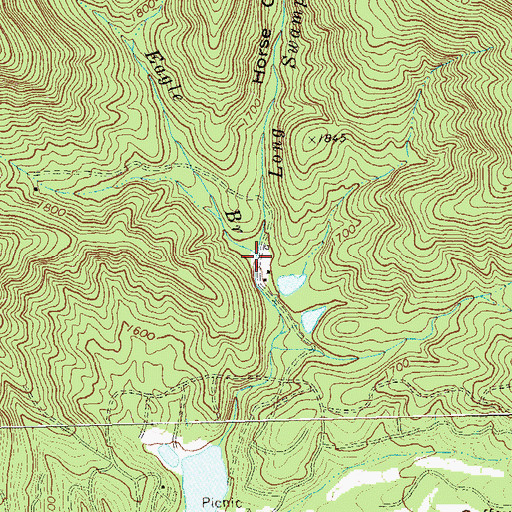 Topographic Map of Eagle Branch, GA