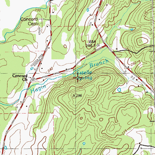 Topographic Map of Estelle Spring, GA