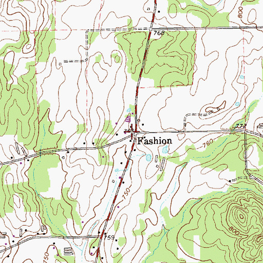 Topographic Map of Fashion, GA
