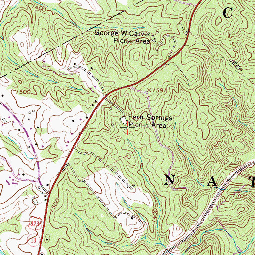Topographic Map of Fern Springs Picnic Area, GA