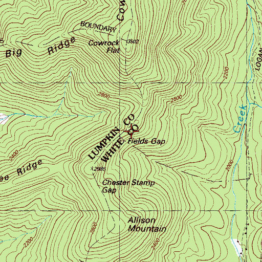 Topographic Map of Fields Gap, GA